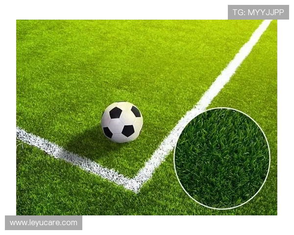 人工草场对足球比赛规则有哪些特别要求？详细拆解讲清楚