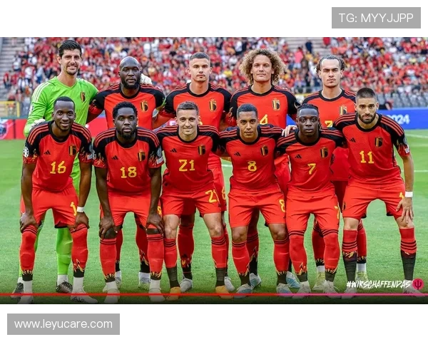 奥地利队2026世界杯预选赛突围前景分析 能否终结24年正赛等待